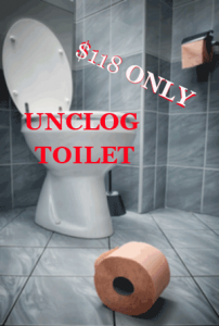 Unclog-Toilet