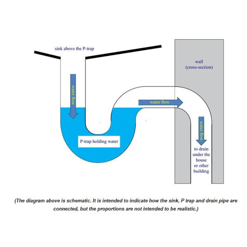 Blocked-P-Trap-or-Dry-P-Trap